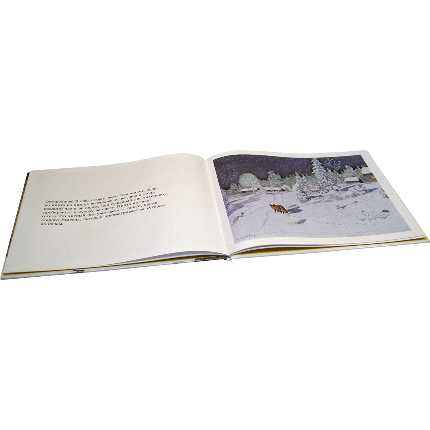 Книга Добрая книга Томтен и лис. Иллюстрации Харальда Виберга - фото 6