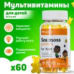 Мультивитамины для детей NDCG Sea Moss ирландский мох NDCG for Kids апельсин 60 жевательных пастилок