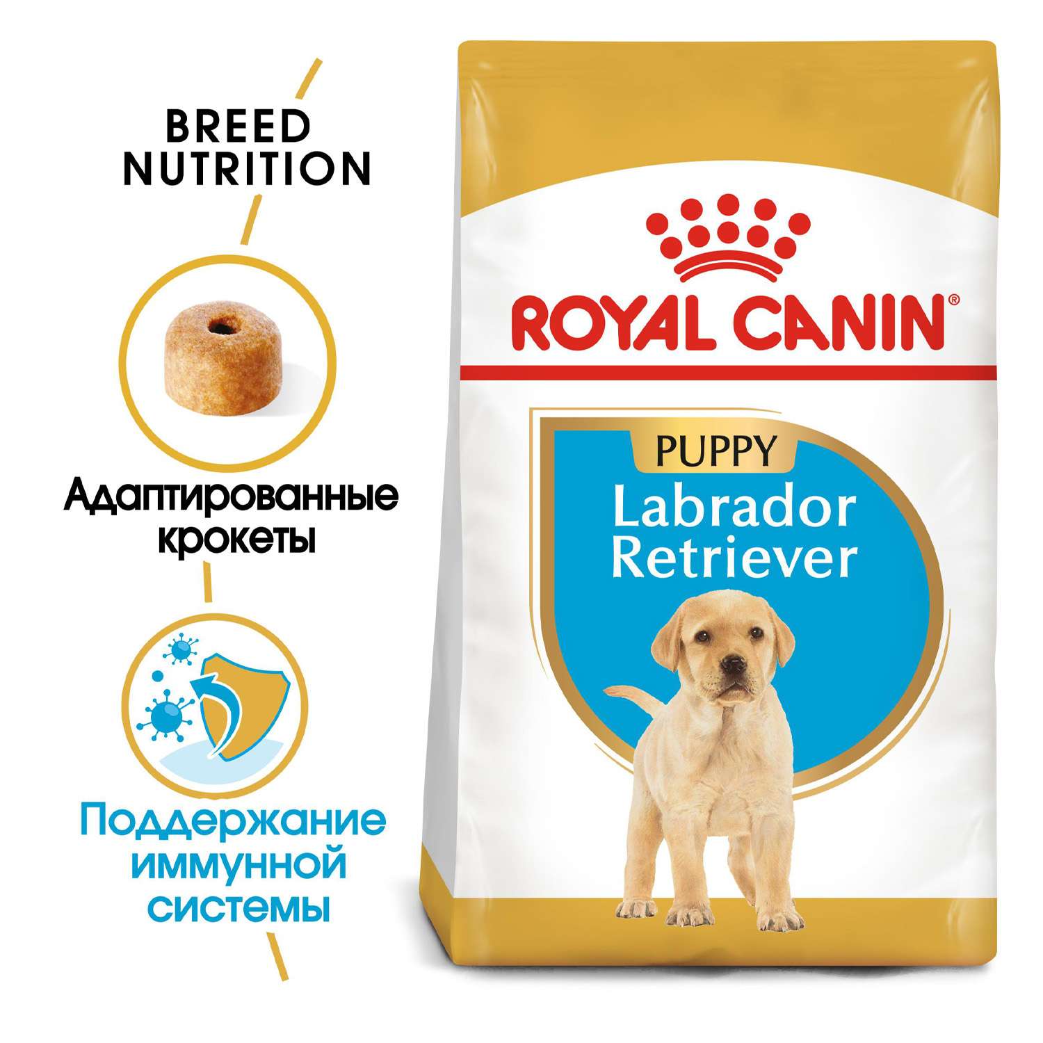 Retriever hot sale puppy food