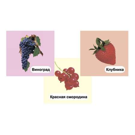 Тематические карточки Учитель Ягоды Красочные картинки со стихами и загадками 12 шт