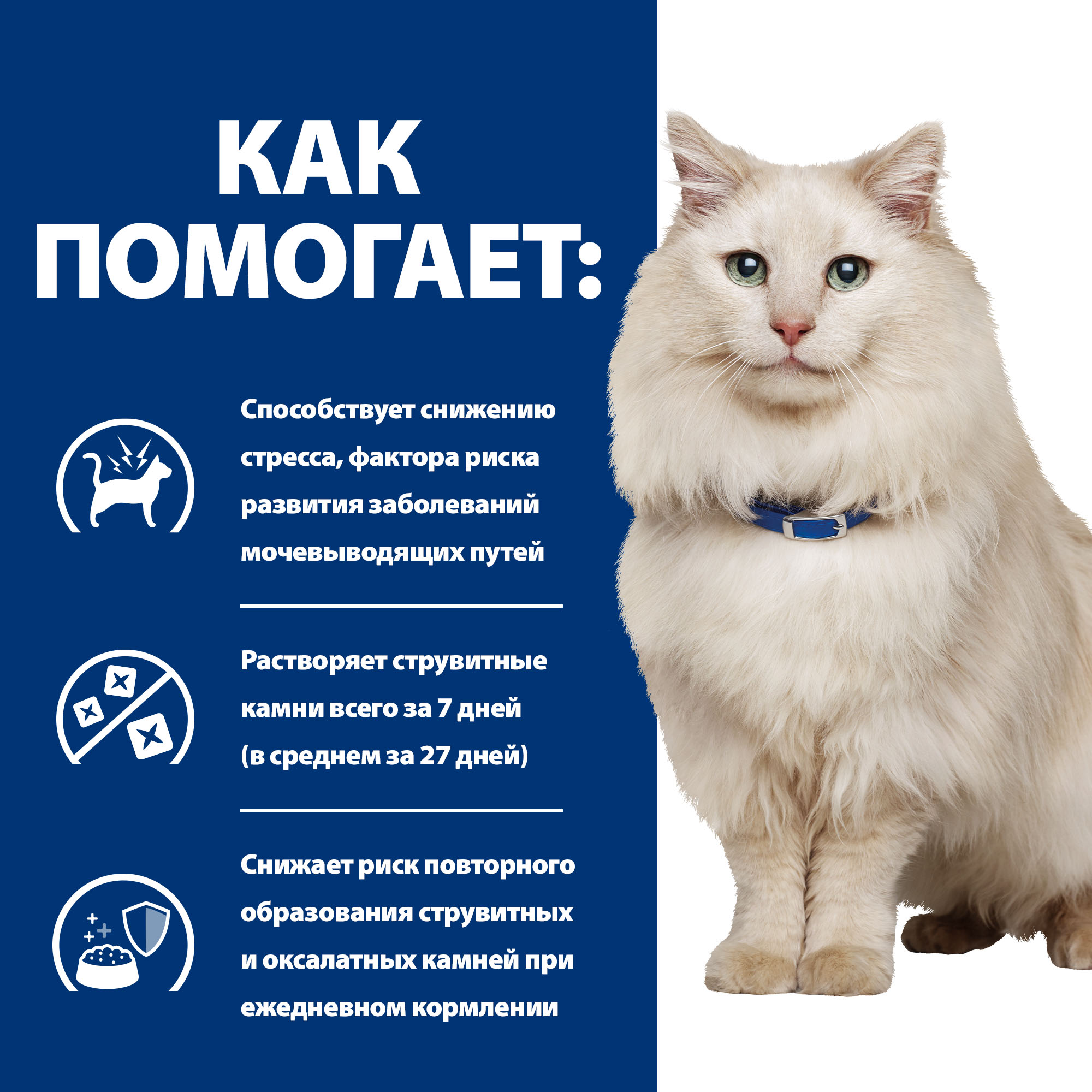 Корм для кошек Hills 8кг Prescription Diet c/d Multicare Stress при профилактике цистита и МКБ с рыбой - фото 4