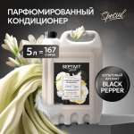 Кондиционер для белья SEPTIVIT Premium Black Pepper 5л