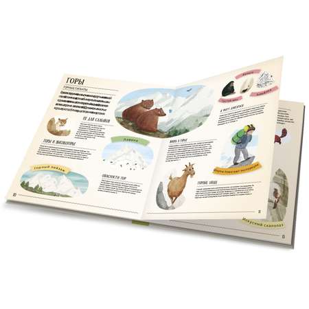 Книга ГЕОДОМ Удивительная природа Как животные адаптируются к окружающей среде? 4186