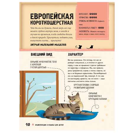 Книга АСТ Энциклопедия о кошках для детей Кошачьи истории внутри