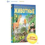 Книга Харвест Книга Большая энциклопедия для детей школьников про животных