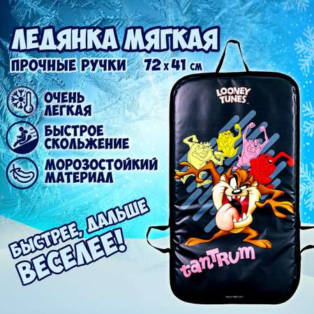 Ледянка мягкая 1TOY Looney Tunes 72х41 см прямоугольные