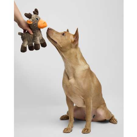 Игрушка для собак Barbaks Олень Игнат 23*20см пищит шуршит