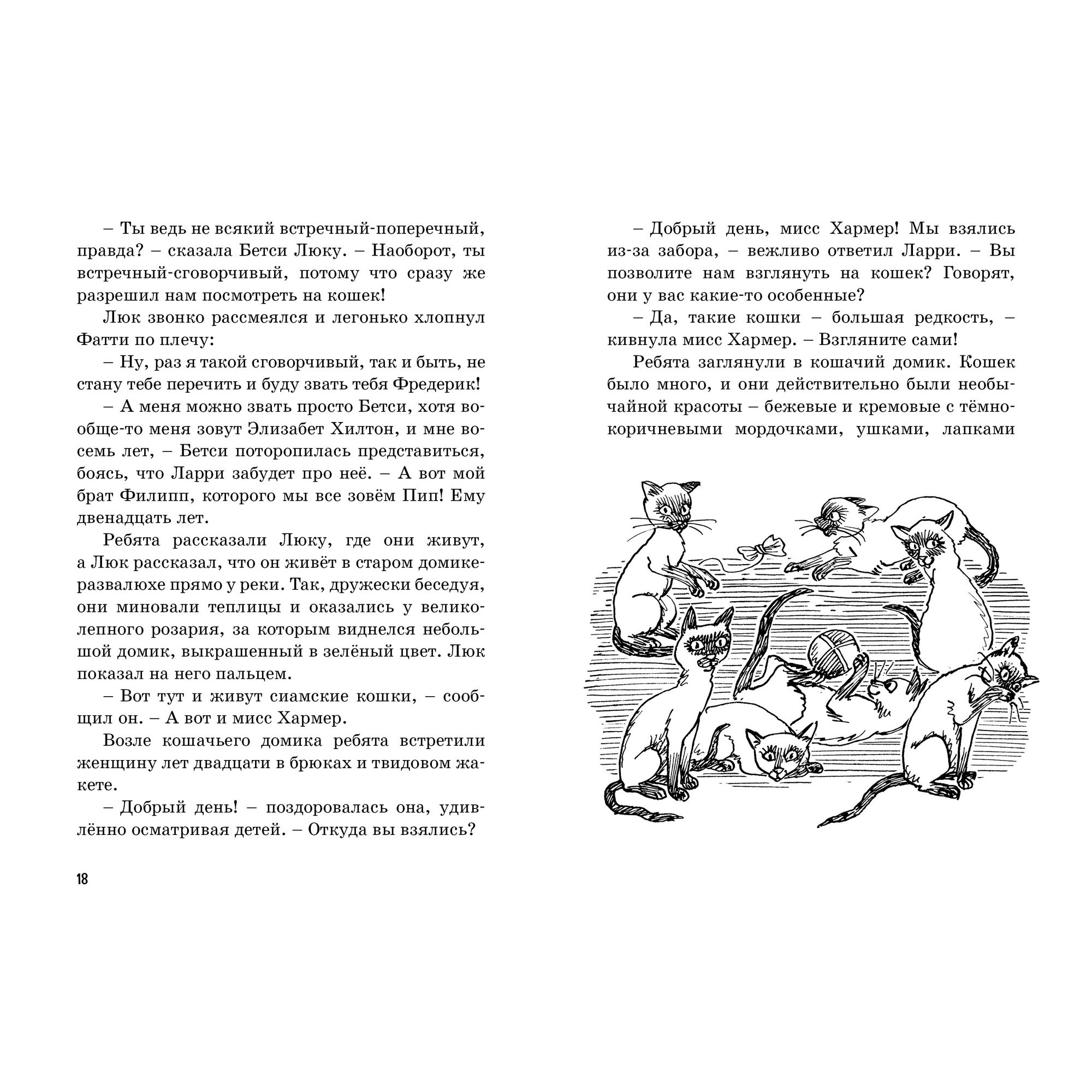 Книга МАХАОН Тайна пропавшей кошки. Пять юных сыщиков и пёс-детектив - фото 4