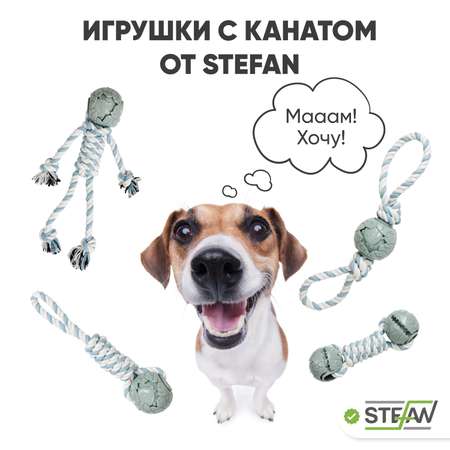 Игрушка для собак Stefan мяч на канате человечек размер 6.5х32х34