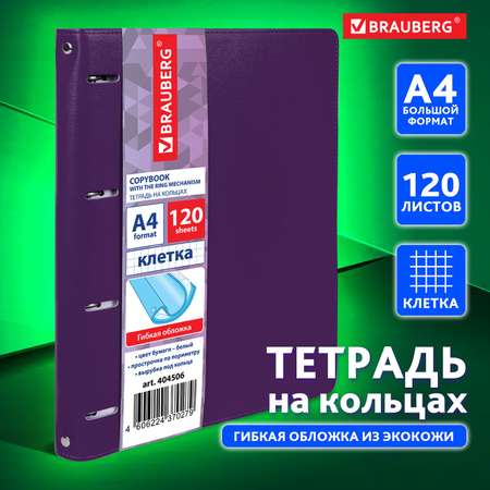 Тетрадь на кольцах Brauberg со сменным блоком для учебы А4 120 листов в клетку