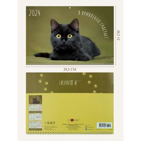 Календарь Арт и Дизайн Квартальный трехблочный премиум Кот 2024 года