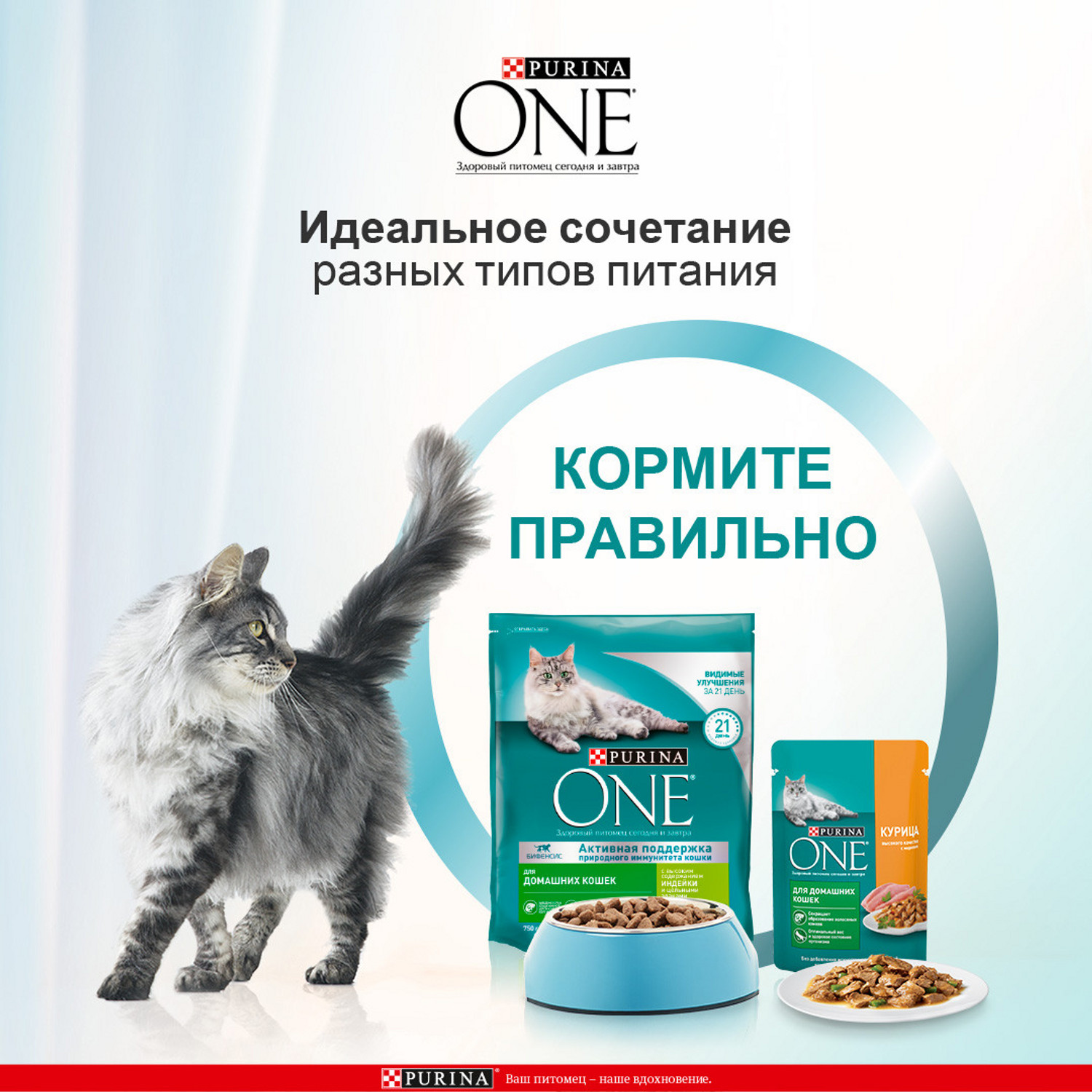 Сухой корм для кошек Purina One 3 кг индейка (для домашних, полнорационный) - фото 6