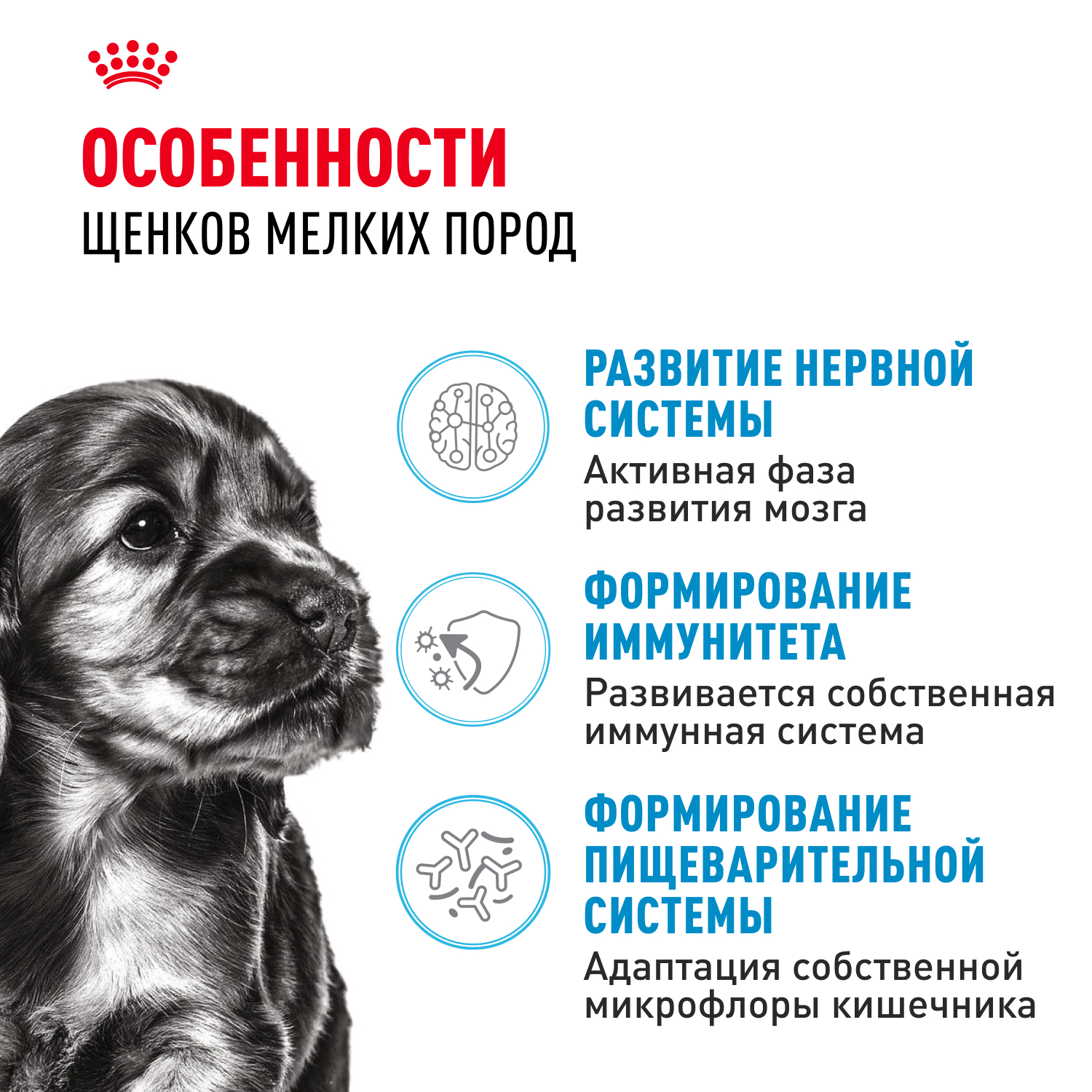 Сухой корм для собак ROYAL CANIN Puppy 4 кг птица (полнорационный) - фото 3