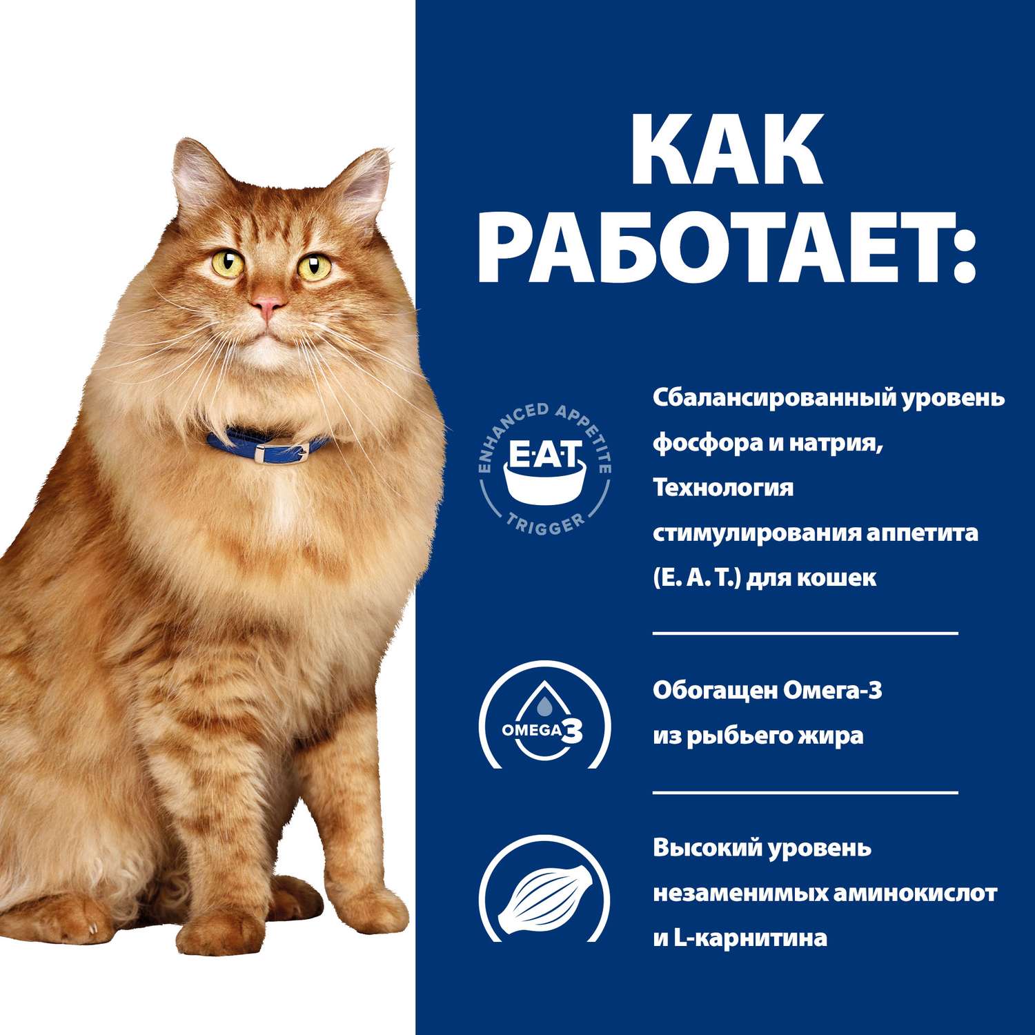Корм для кошек HILLS 1.5кг Prescription Diet k/d +Mobility для поддержания здоровья почек и суставов с курицей сухой - фото 4