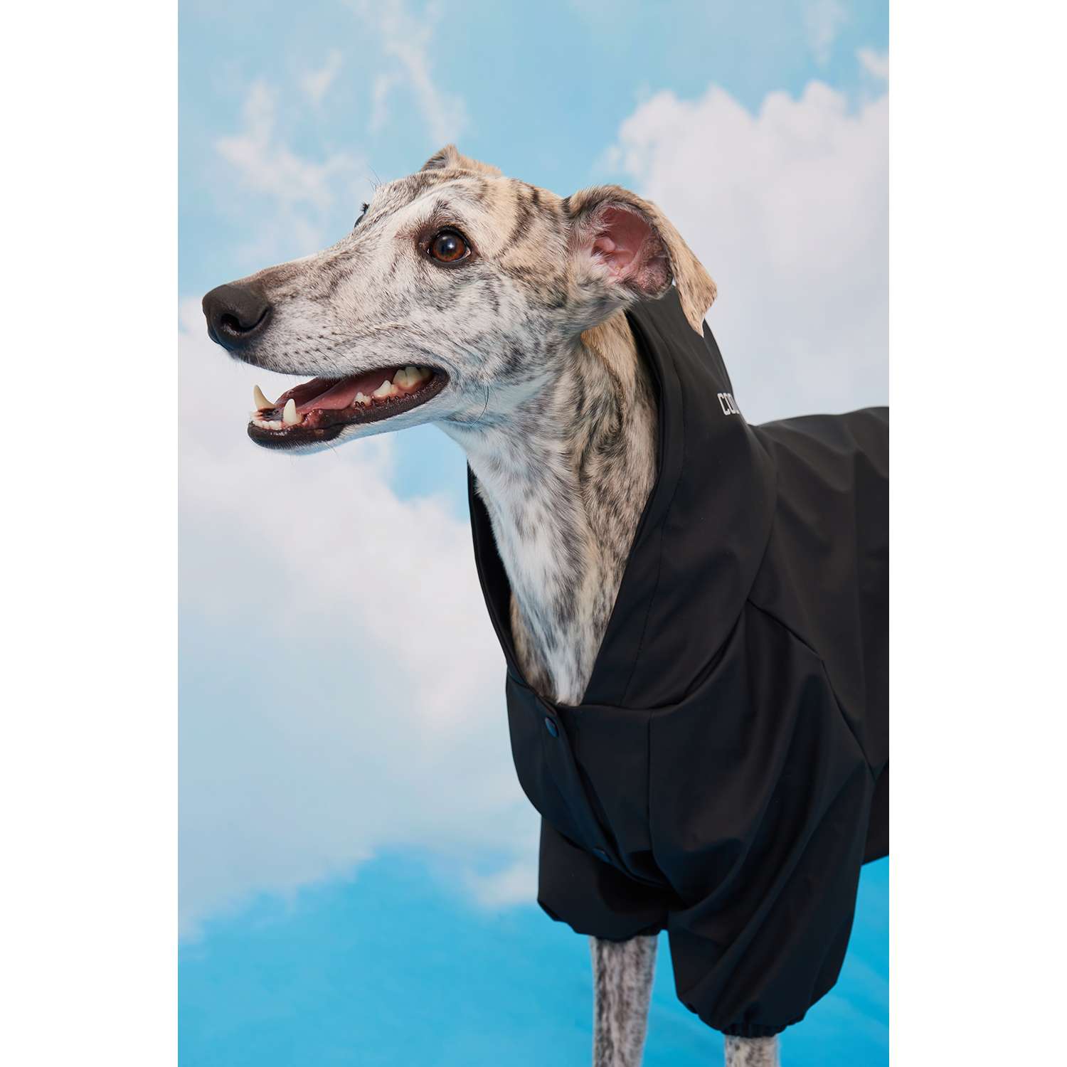 Дождевик-куртка для собак Zoozavr чёрный 55 - фото 9