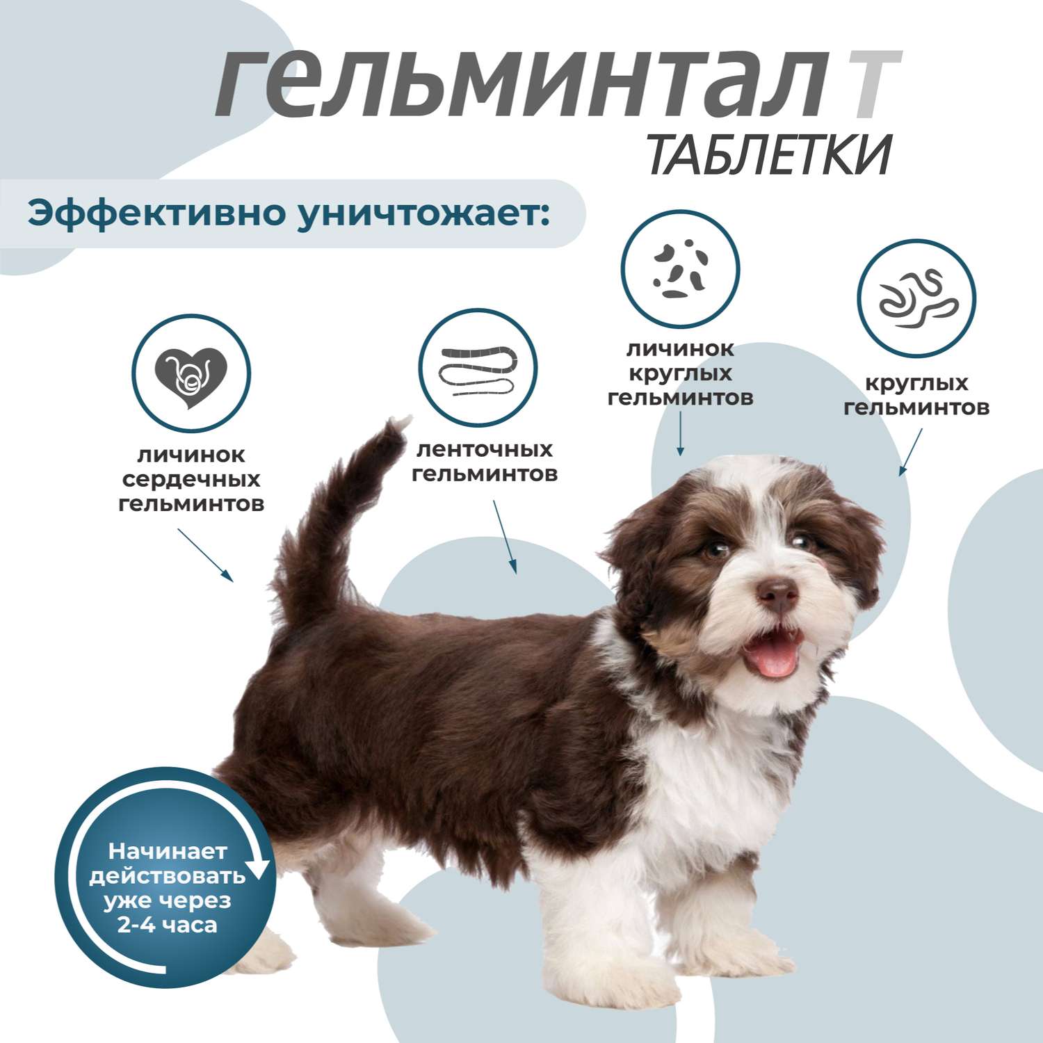 Антигельминтик для собак Гельминтал до 10кг 2шт - фото 3
