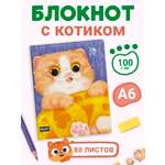 Блокнот-скетчбук Проф-Пресс Meowbook Рыжий котик