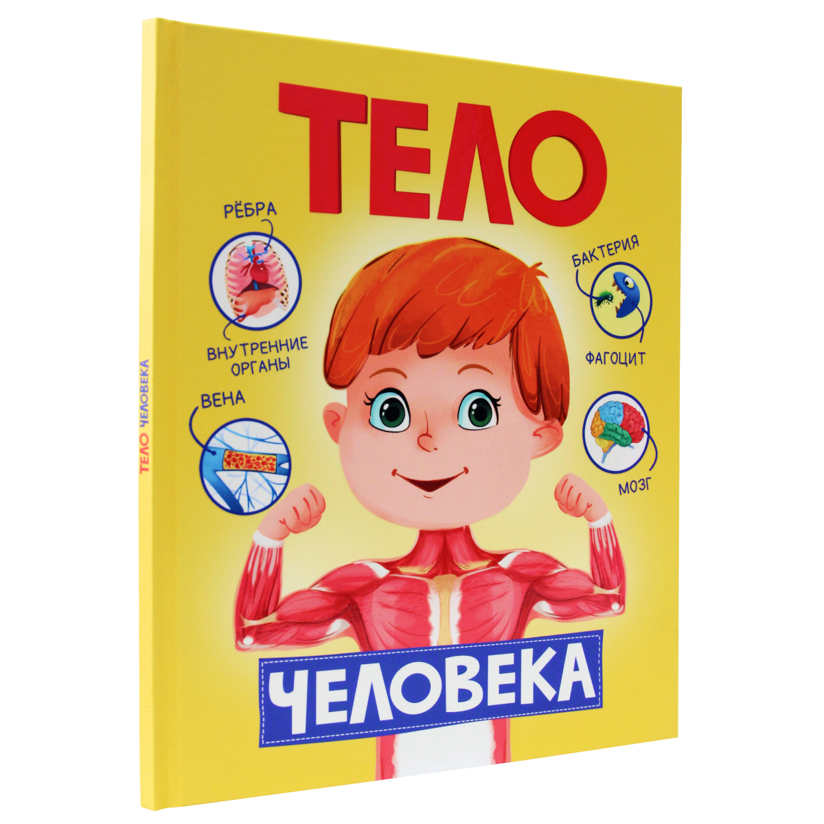 Книга Проф-Пресс Тело Человека - фото 1