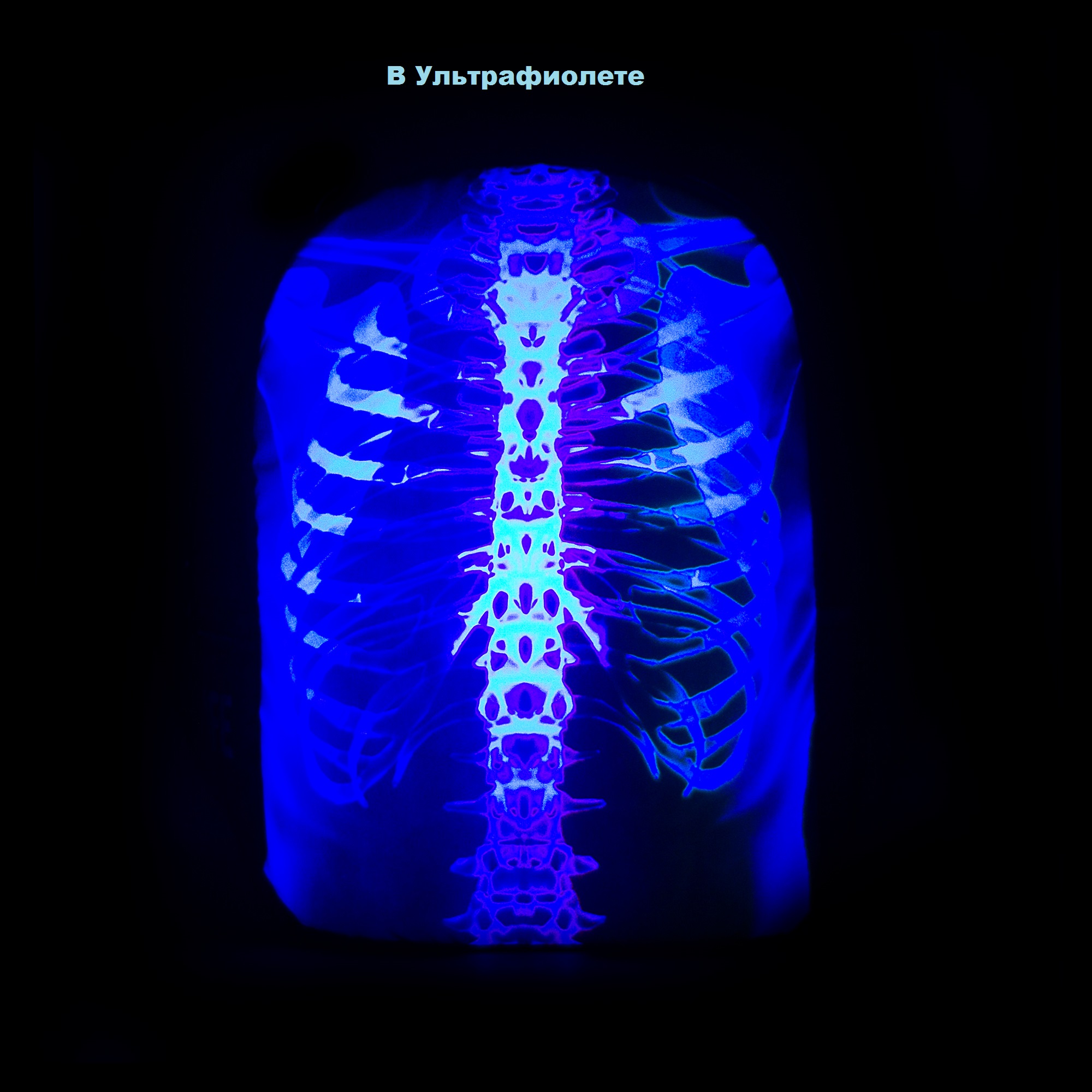 Рюкзак MoJo Xray Ренген мультиколор - фото 7