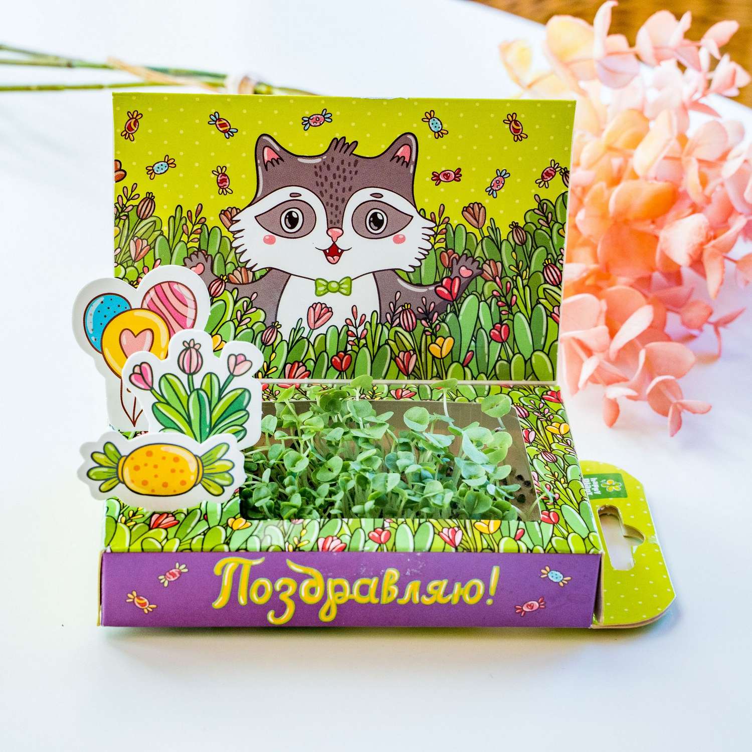 Набор для выращивания Happy Plant Вырасти сам микрозелень Живая открытка Поздравляю! - фото 4