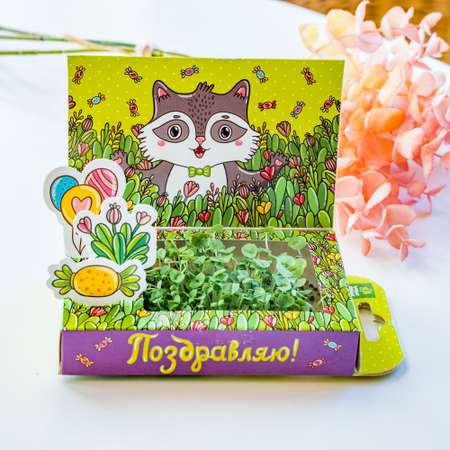 Набор для выращивания Happy Plant Вырасти сам микрозелень Живая открытка Поздравляю!
