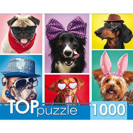 Пазл Рыжий кот Toppuzzle Забавные щенки ГИТП1000-4134