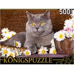 Пазл Рыжий кот Konigspuzzle Британский и ромашки ШТK500-3576