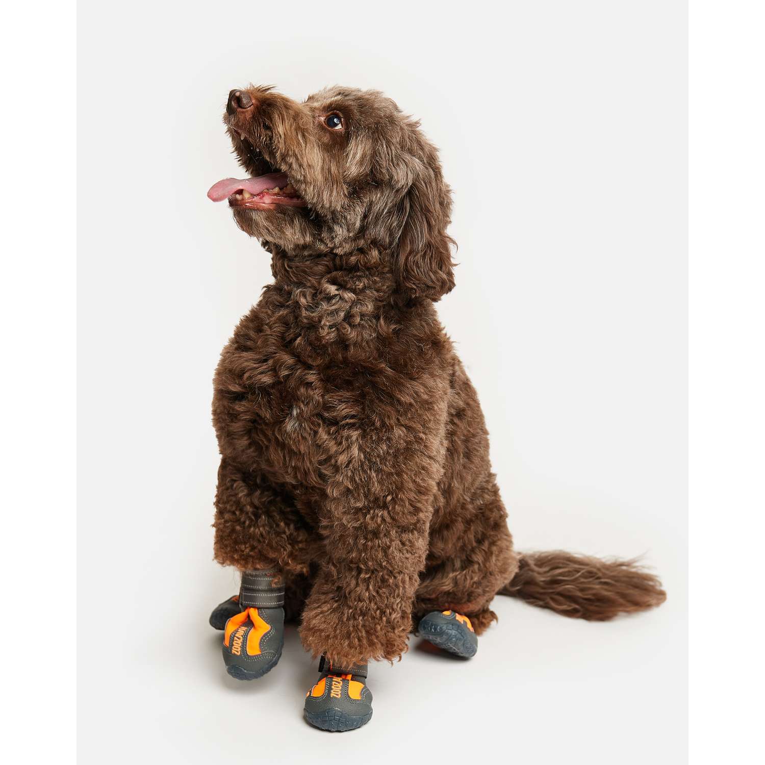 Ботинки для собак Зоозавр серые XS (4шт) - фото 1