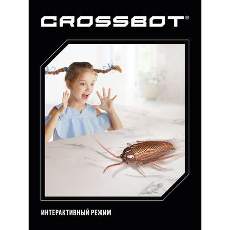 Игровой набор CROSSBOT