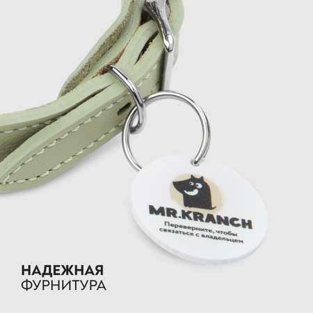 Ошейник-селедка для собак Mr.Kranch из натуральной кожи с QR-адресником 21-25см Нежно-Зеленый