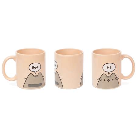 Кружка Pyramid Pusheen Coffee Mug 315 ml MG25065C