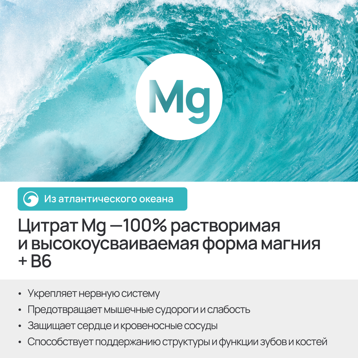 БАД Zolten Tabs минеральный комплекс цитрата магния B6 120 капсул купить по  цене 985 ₽ в интернет-магазине Детский мир