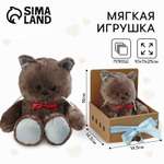 Мягкая игрушка Milo Toys «Именинник Marti» котик 25 см