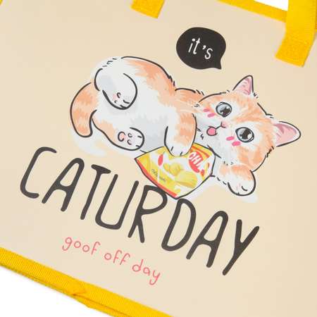 Папка с ручками Erhaft Caturday А4