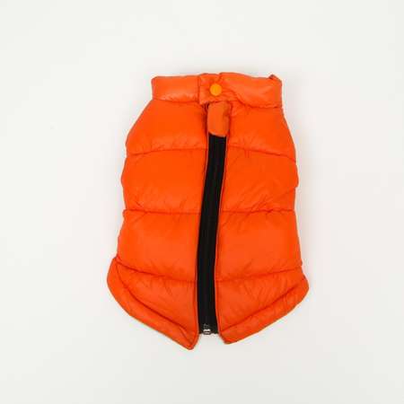 Куртка Пижон для собак со шлейкой размер 10 коралловая