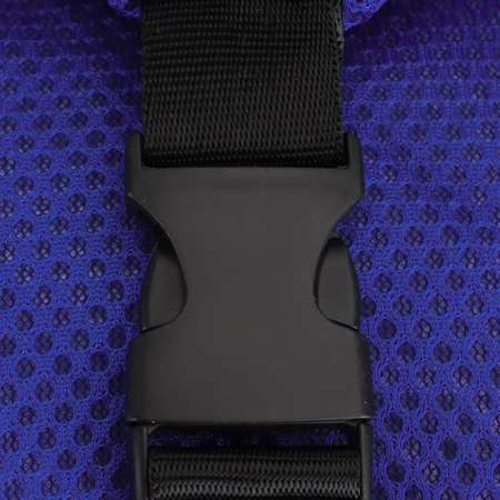 Сумка для сменной обуви Prof-Press синий сапфир на молнии текстиль 54x22x26 см