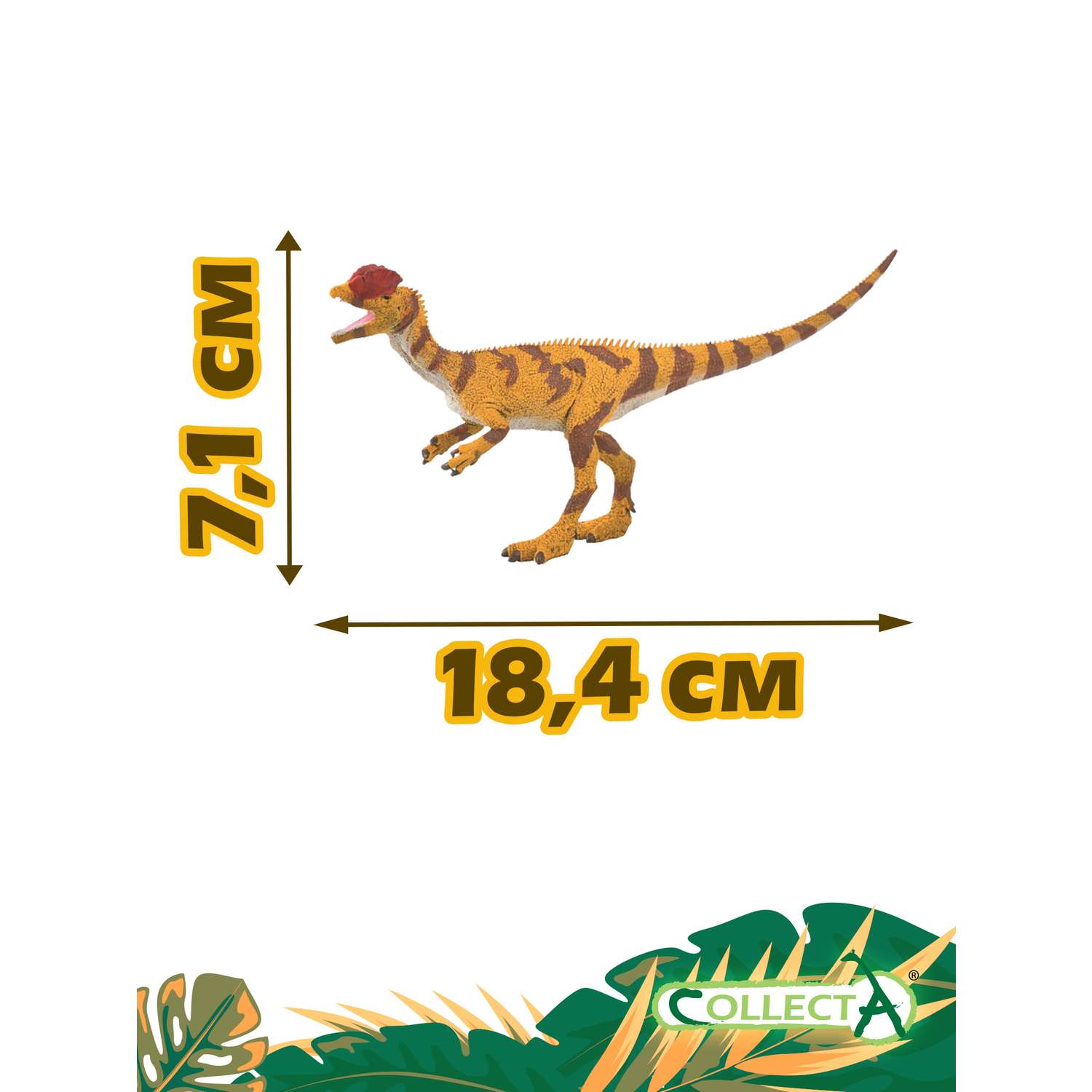 Фигурка животного Collecta Динозавр Дилофозавр - фото 2