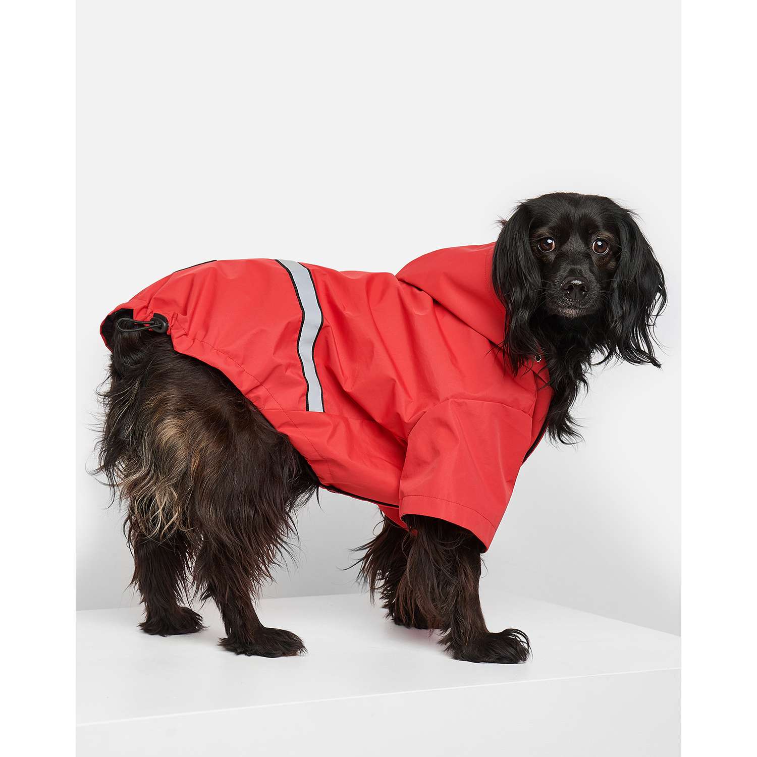 Куртка-дождевик для собак Зоозавр красная 50 - фото 2