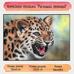 Алмазная мозаика Seichi