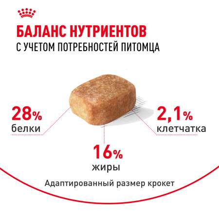 Корм для собак ROYAL CANIN породы чихуахуа 3кг