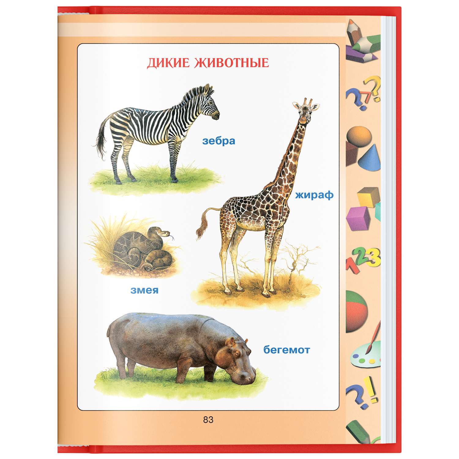 Книга Харвест Моя первая книга малыша от 0 энциклопедия детская развивающая учим новые слова - фото 5