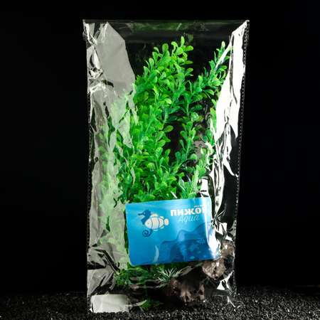 Растение для аквариума Пижон Аква на платформе в виде коряги 40 см зелёное