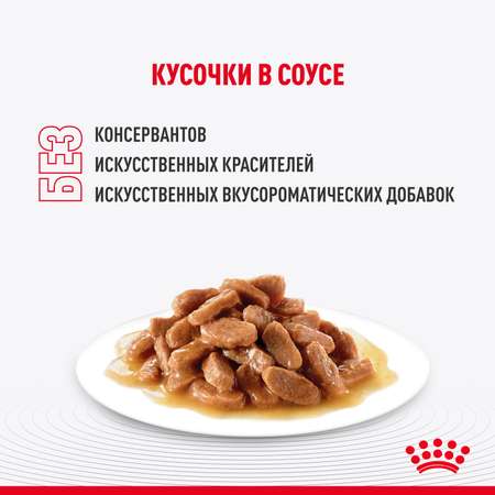 Корм для кошек ROYAL CANIN 85г Indoor Sterilised соус для живущих в помещении