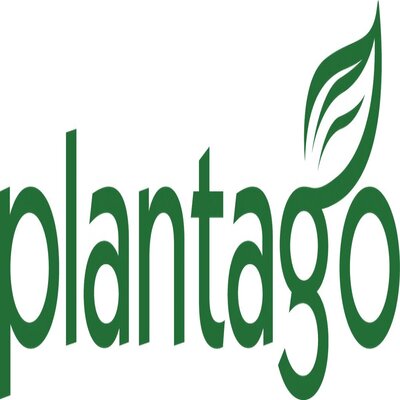 Plantago