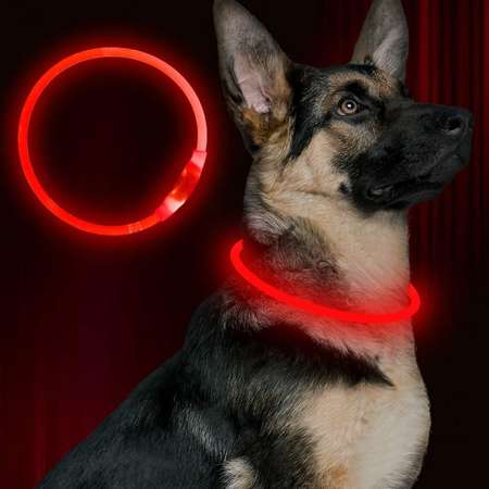 Ошейник ZDK Светящийся LED 55 см красный сплошной свет ZooWell
