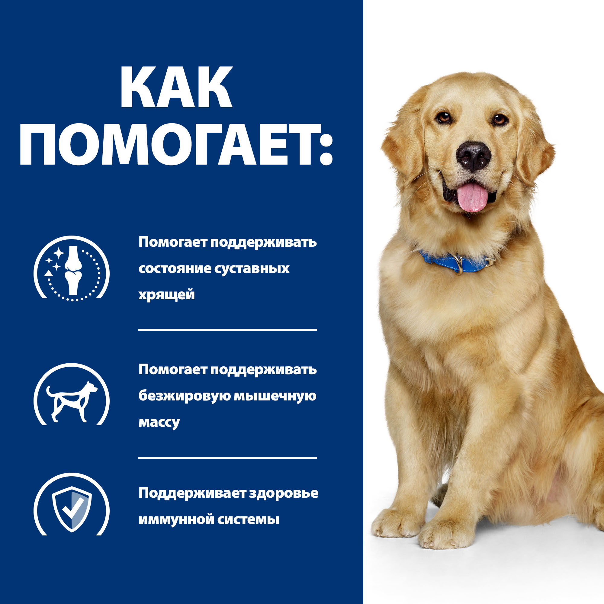 Корм для собак HILLS 12кг Prescription Diet j/d Joint Care для здоровья суставов с курицей сухой - фото 5