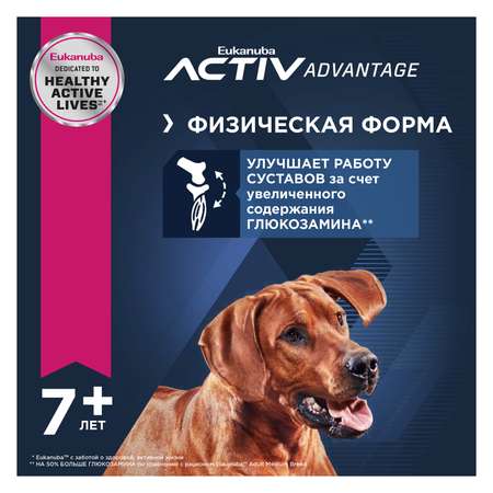 Корм для собак Eukanuba 15кг Синьор Ладж Брид 7+