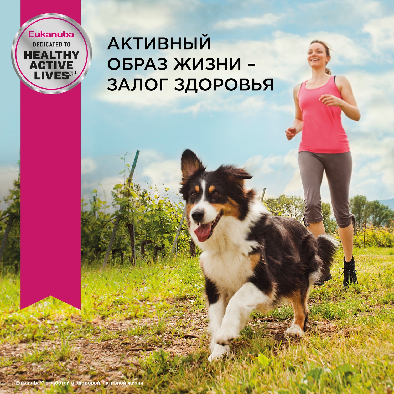 Сухой корм для собак Eukanuba 1.5 кг птица (полнорационный) - фото 10