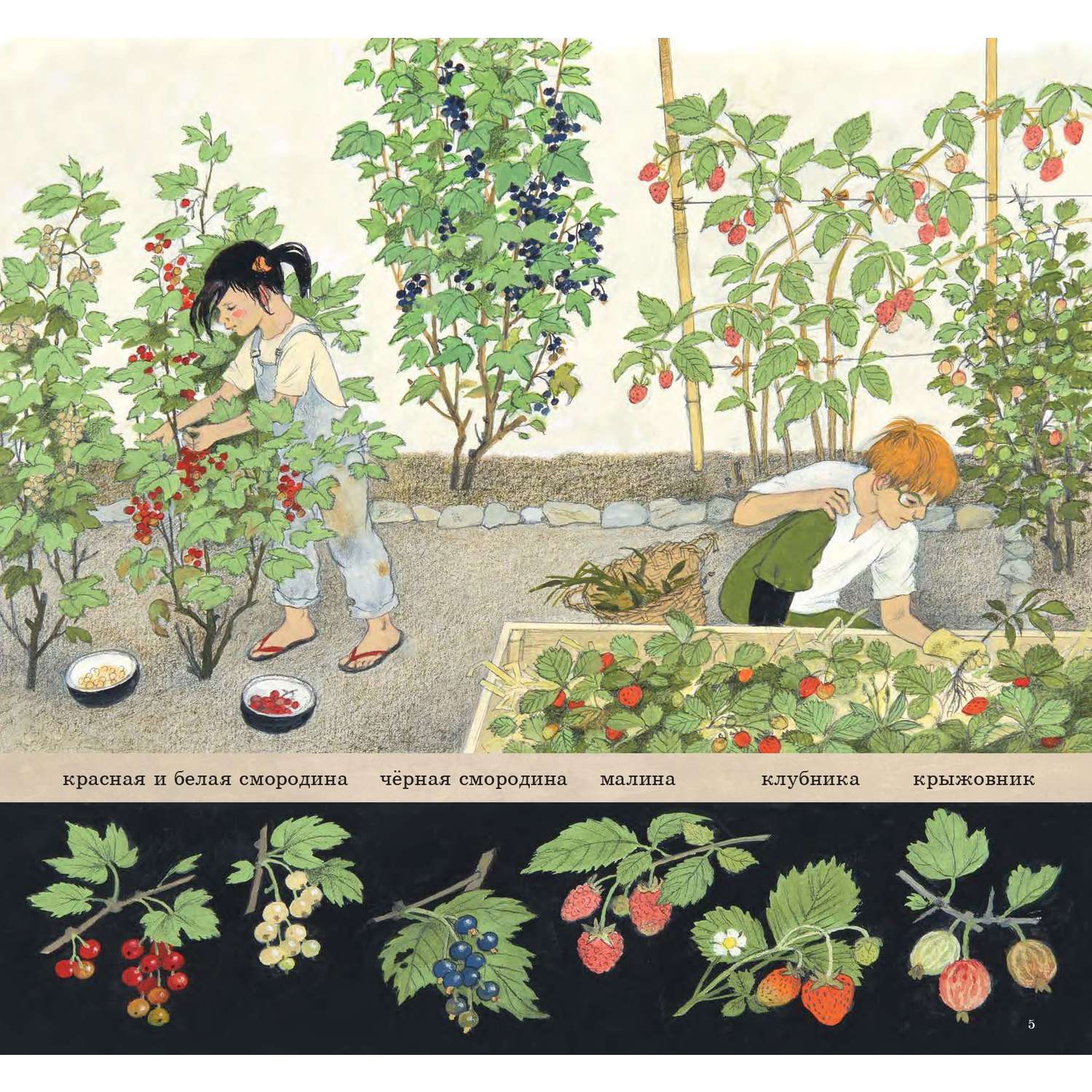 Комплект Добрая книга Как растут овощи? + Как растут ягоды + Наше дерево - фото 35