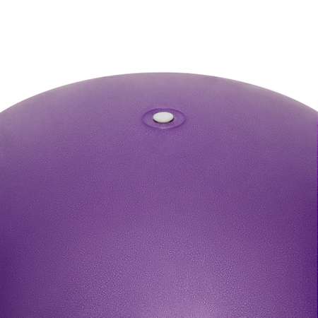 Фитбол STRONG BODY 55 см ABS антивзрыв фиолетовый для фитнеса Насос в комплекте